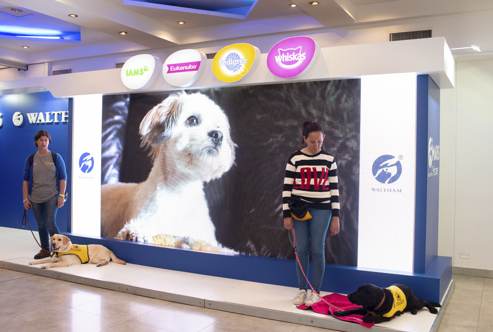 MARS PETCARE EVENTO